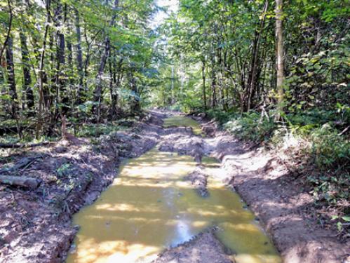 ... ���� �� �����...