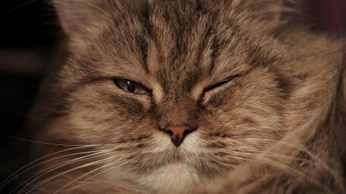 � �� ����. 