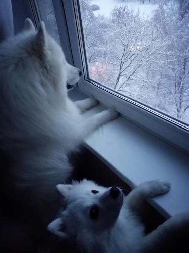 ���������� ������