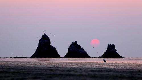 ���������� ������