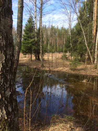 �������� ���