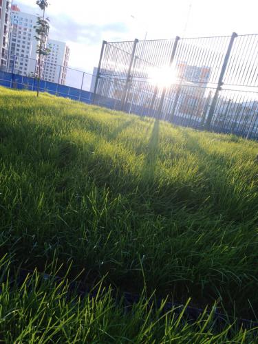 ������� �����