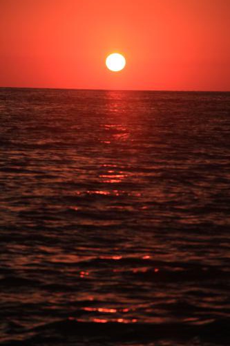 ����� ���� 