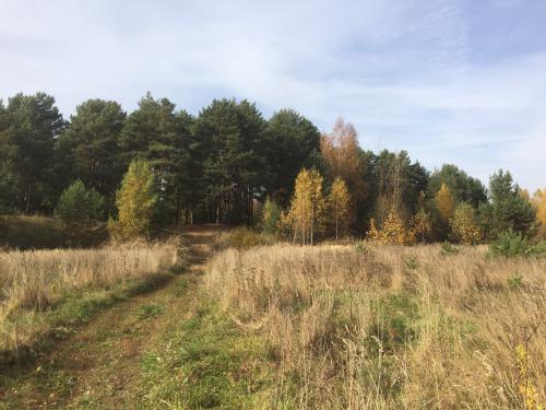 ��� �� ��������