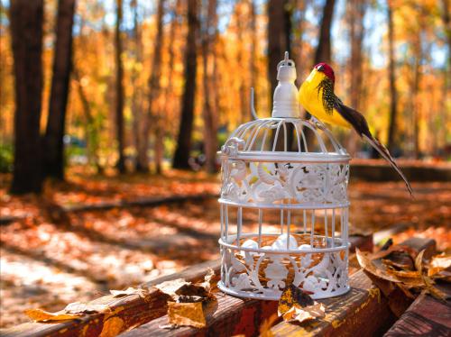 ������� ������