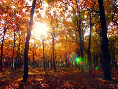 ������� ���