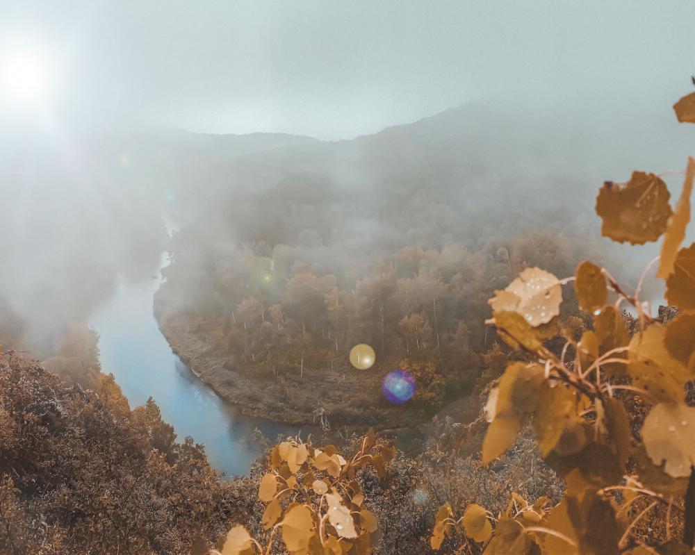 Осенний Туман Фото