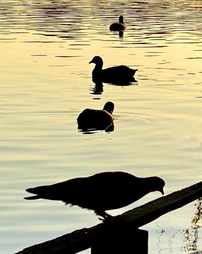 ����� �� ��������� �����