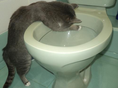 ���������� ��������