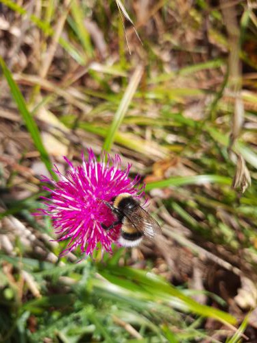 �������� �����