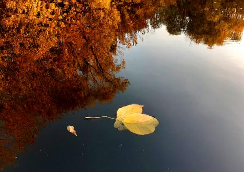 ����� � ���������