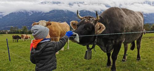 �������