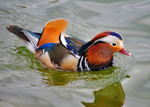 ����������