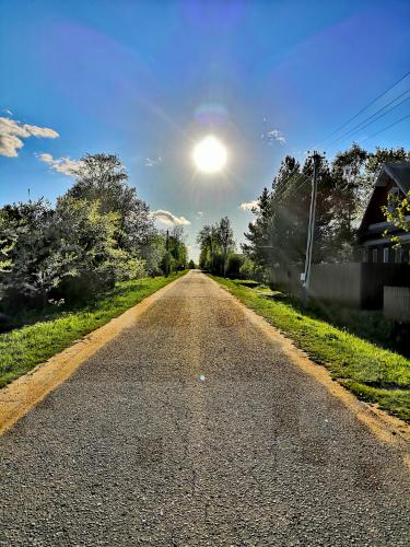 �������� ���