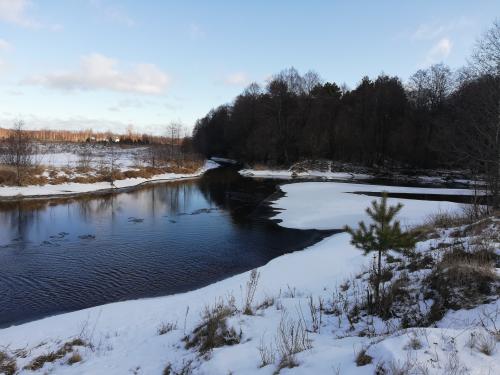 ������� ����