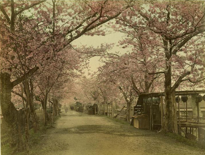 Япония в конце 19 века