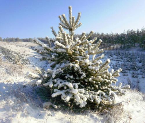 �������������