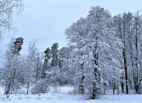 ����� ����