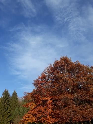 ������ �����