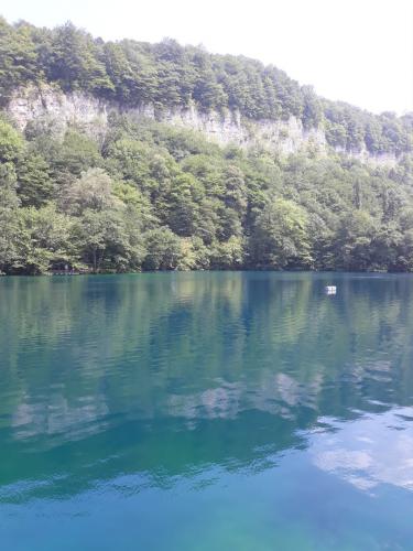 ������� �����