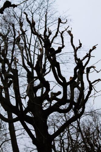 �������� ������