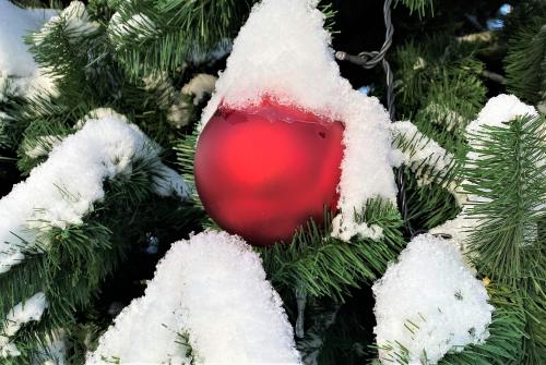 �������  ���