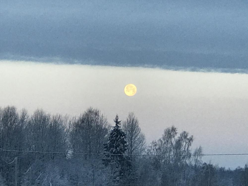 Утренняя Луна над лесом фотография автора kuzmacat фото номер 270381 фотка  на ФотоПризер