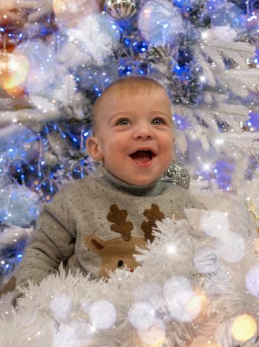 ������ ����� ���