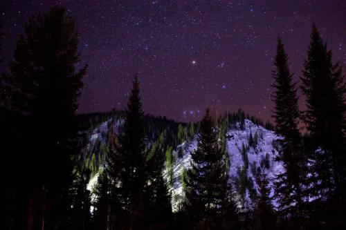 ������ �����