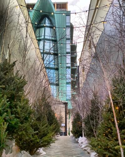 ������ ������