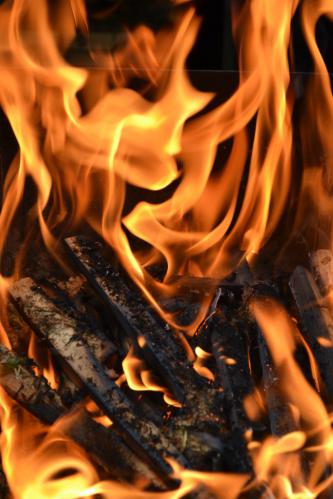 ����� �������