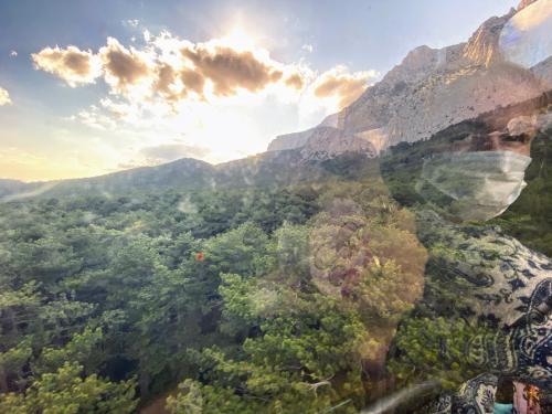 ��� ������