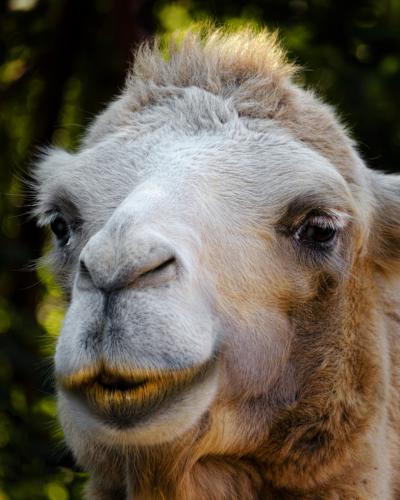 ���������� ������ ������� ������