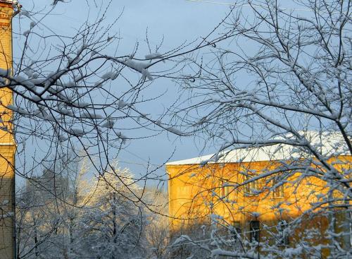 � �� ������ ������ ������ ����� ��������