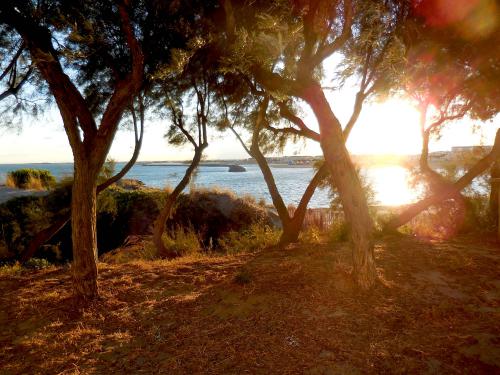 ����� � ����