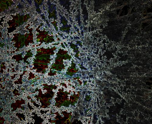 ������ �����