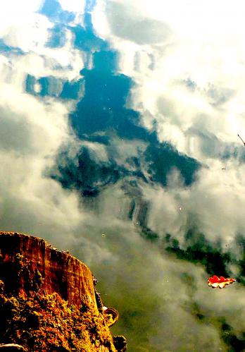 ���������