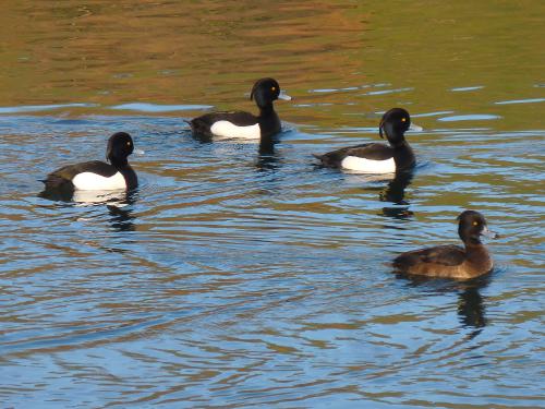 �������