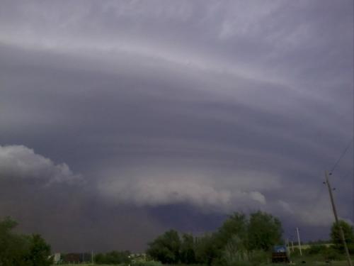 ���� ����� ��������