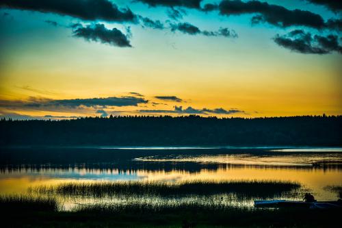 �������� �����