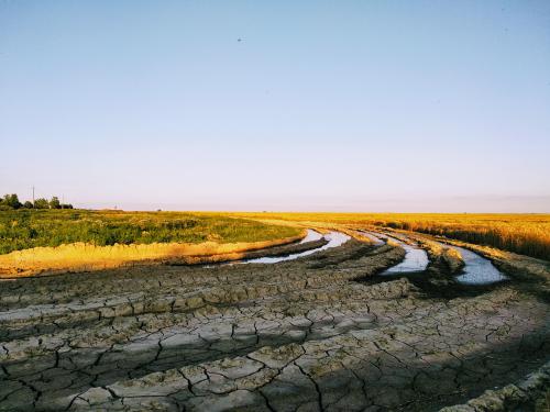 ���� ����� ���