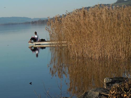 ����� ����� �� �����