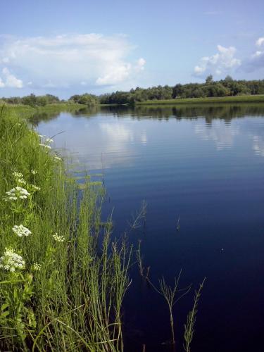 ������ ����� 