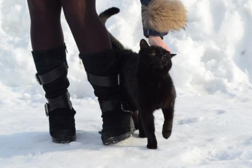 4 ���� � 2 ����