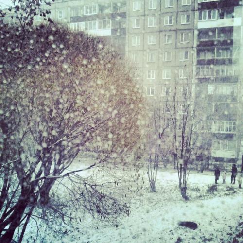 ������ ����