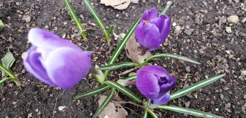 �������� �����