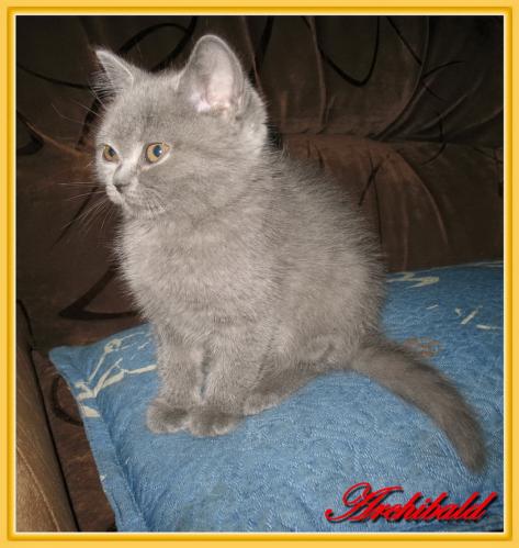 �������� ����