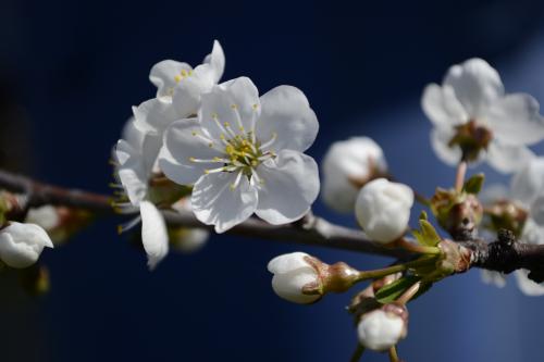 ����� � �����