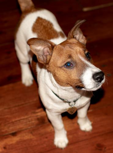 ������� ������