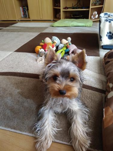 ���������